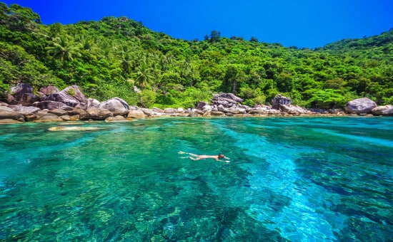 Diving in Koh Tao