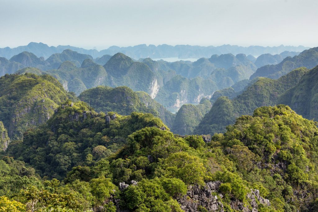 Cat Ba National Park