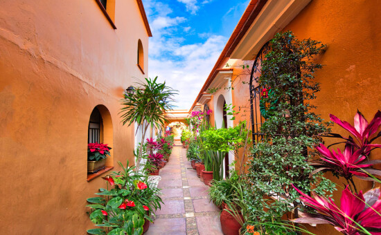 Colonial buildings in the Oaxaca city center