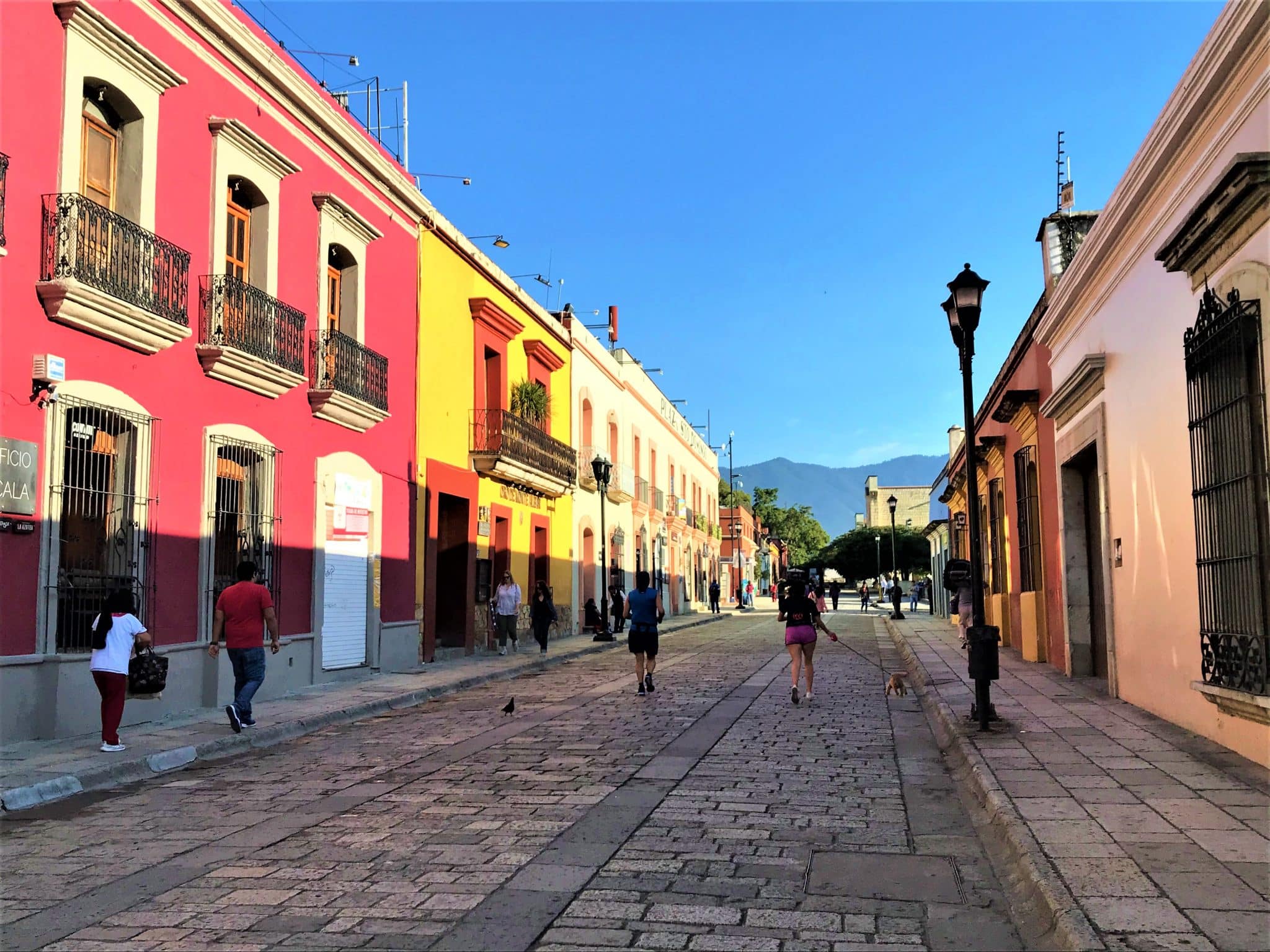 How to spend a wonderful weekend in Oaxaca - Bookaway