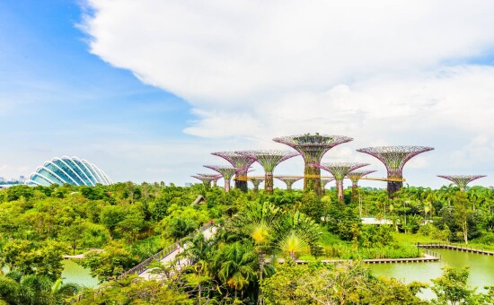 Gardens by the Bay