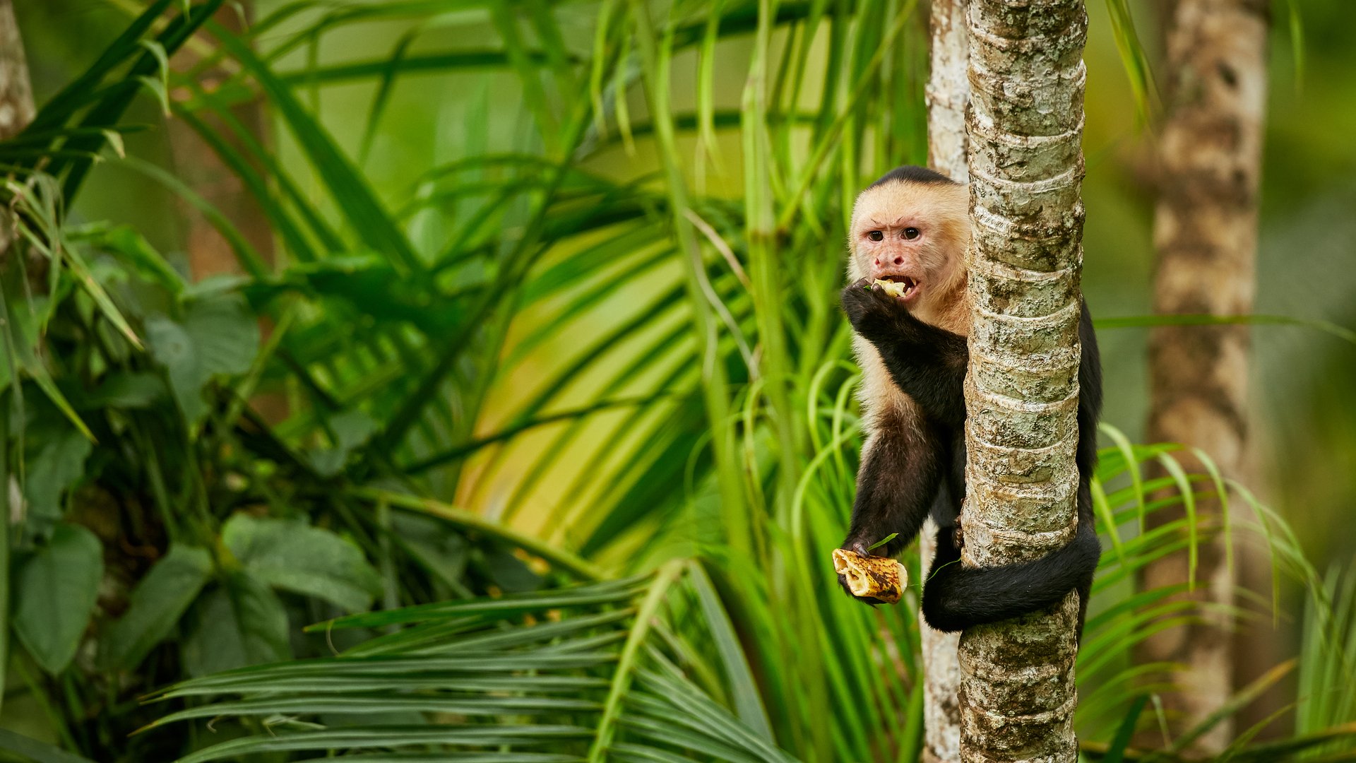 Costa Rica Itinerary: 7 Days in a Biodiverse Heaven