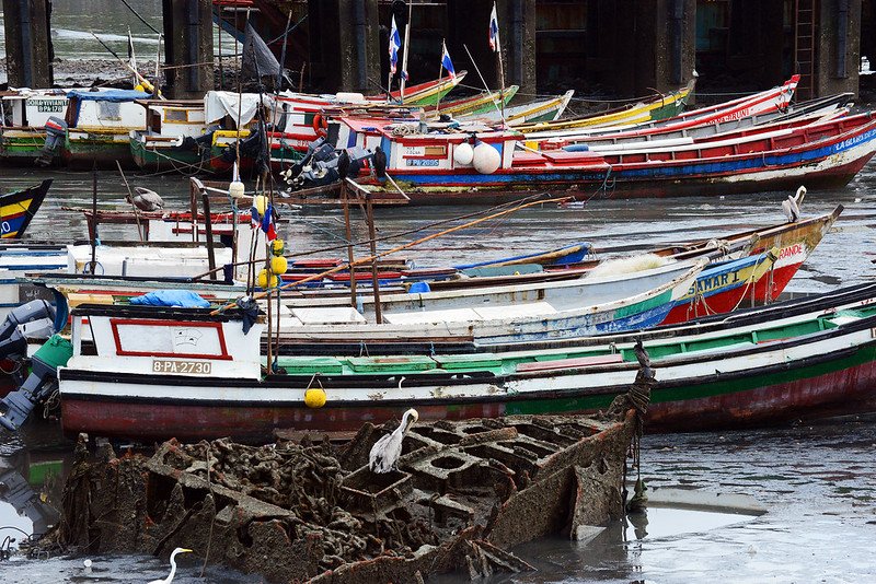 fishing ships