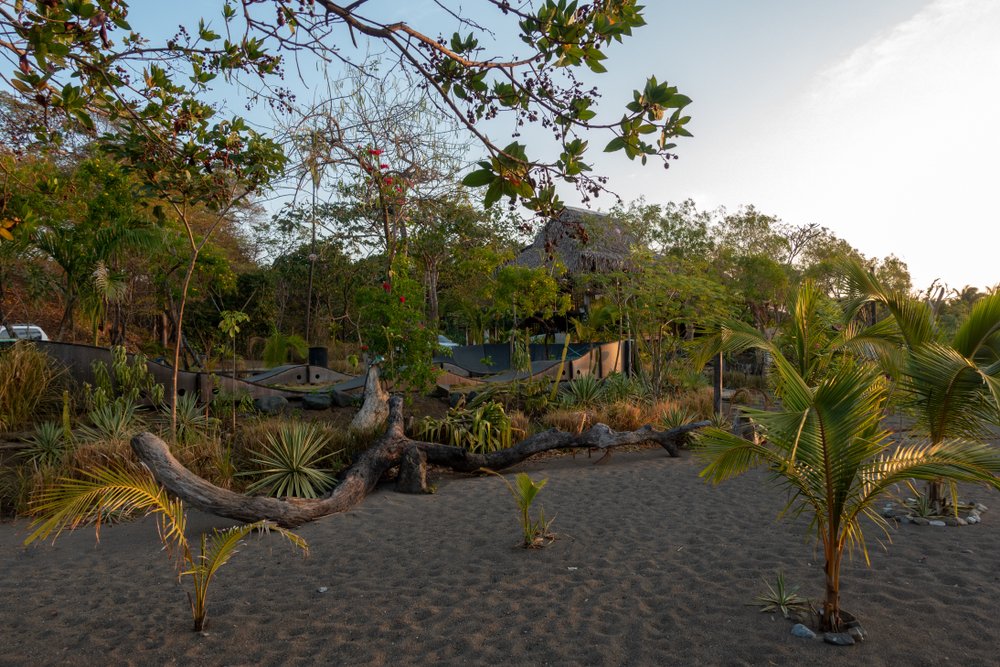 Dark sands of Playa Venao in Panama