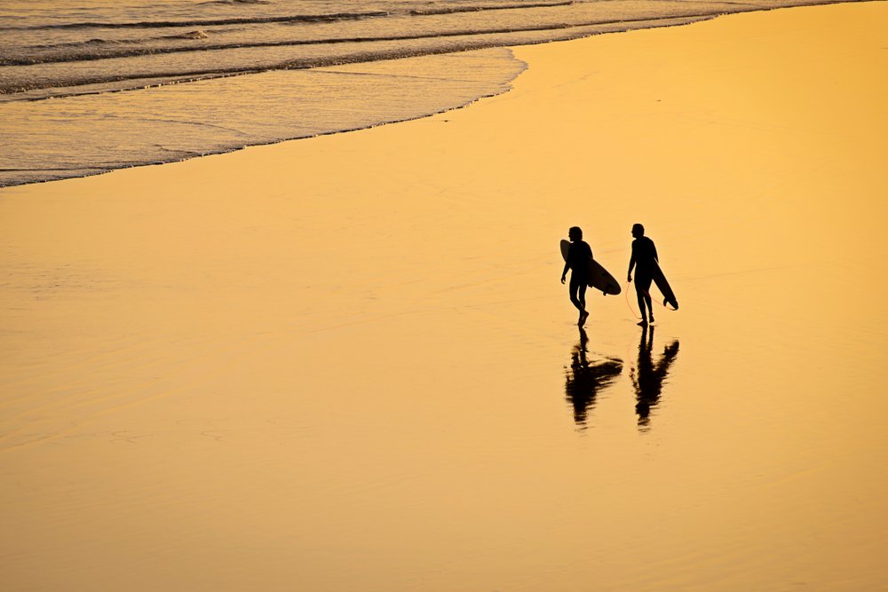 surfers walking on the beach at golden hour