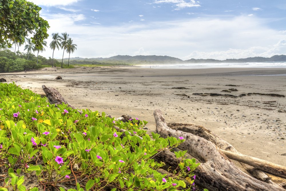 Playa Guiones in Costa Rica