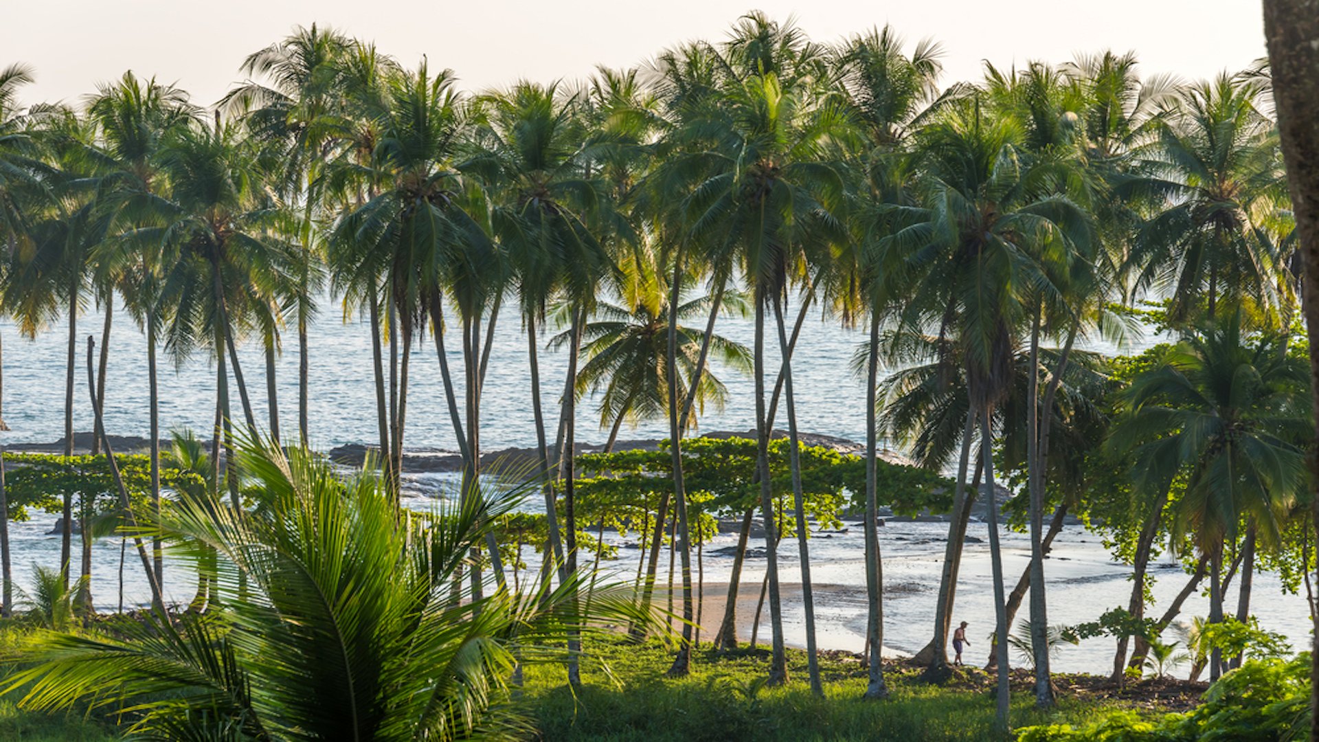 The Ultimate Guide to Playa Hermosa, Costa Rica