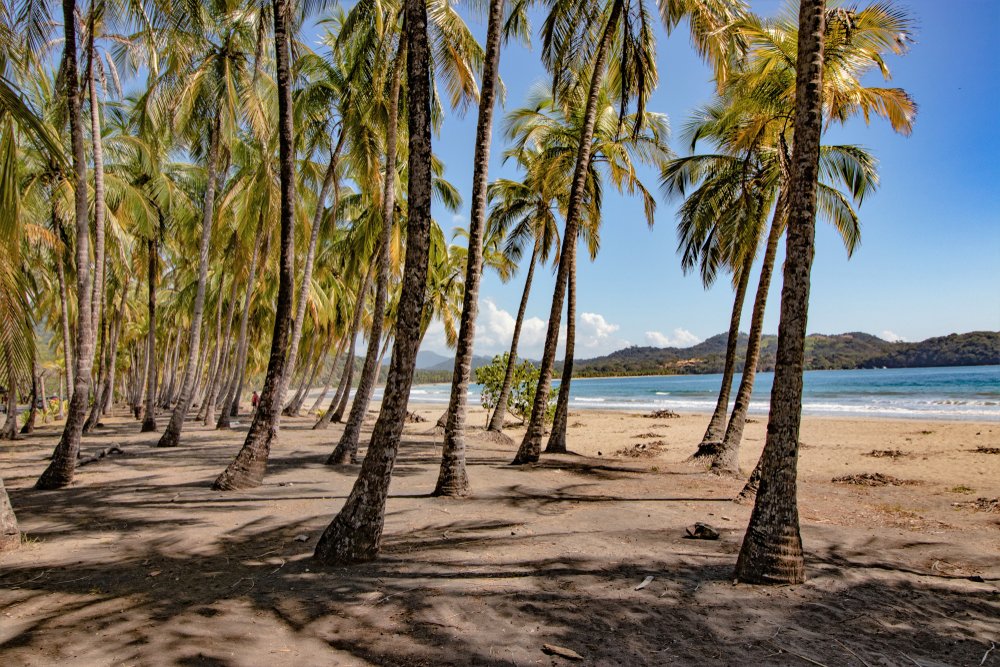 Playa Carillo near Nosara in Costa Rica