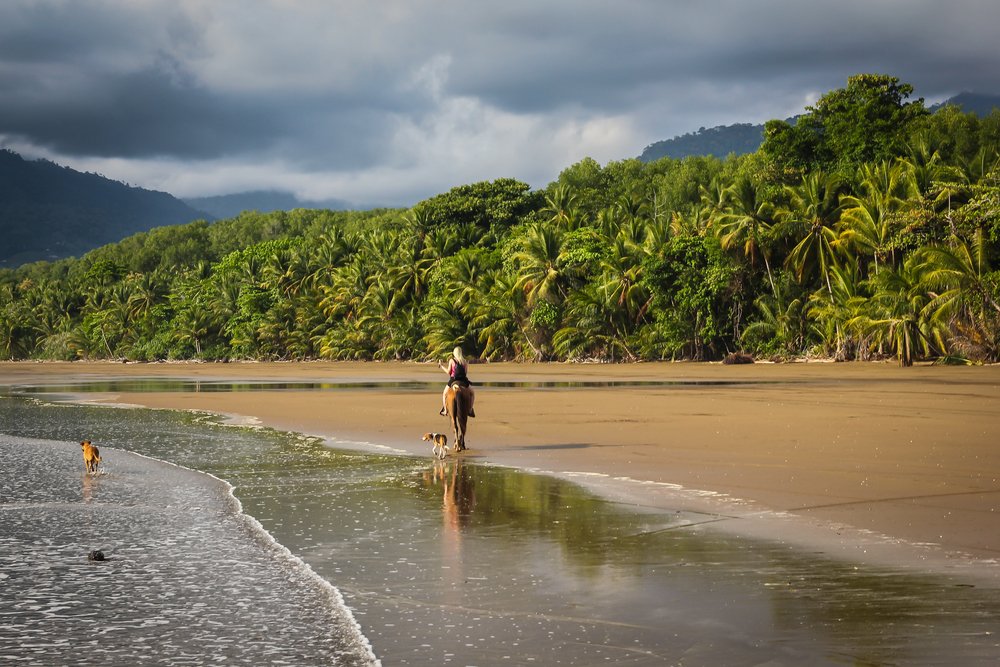 girl on horseback on the beach