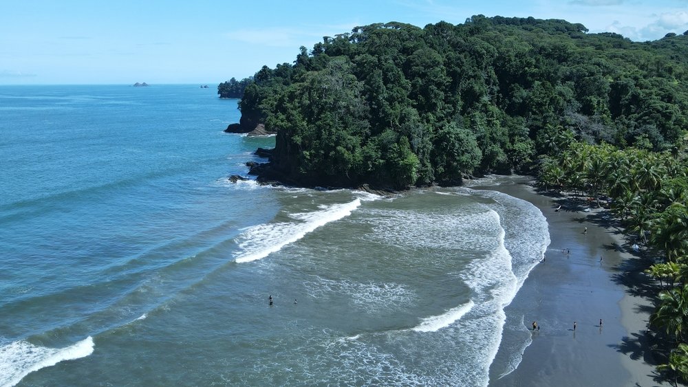 Your Ultimate Guide to Playa Grande, Costa Rica - Bookaway