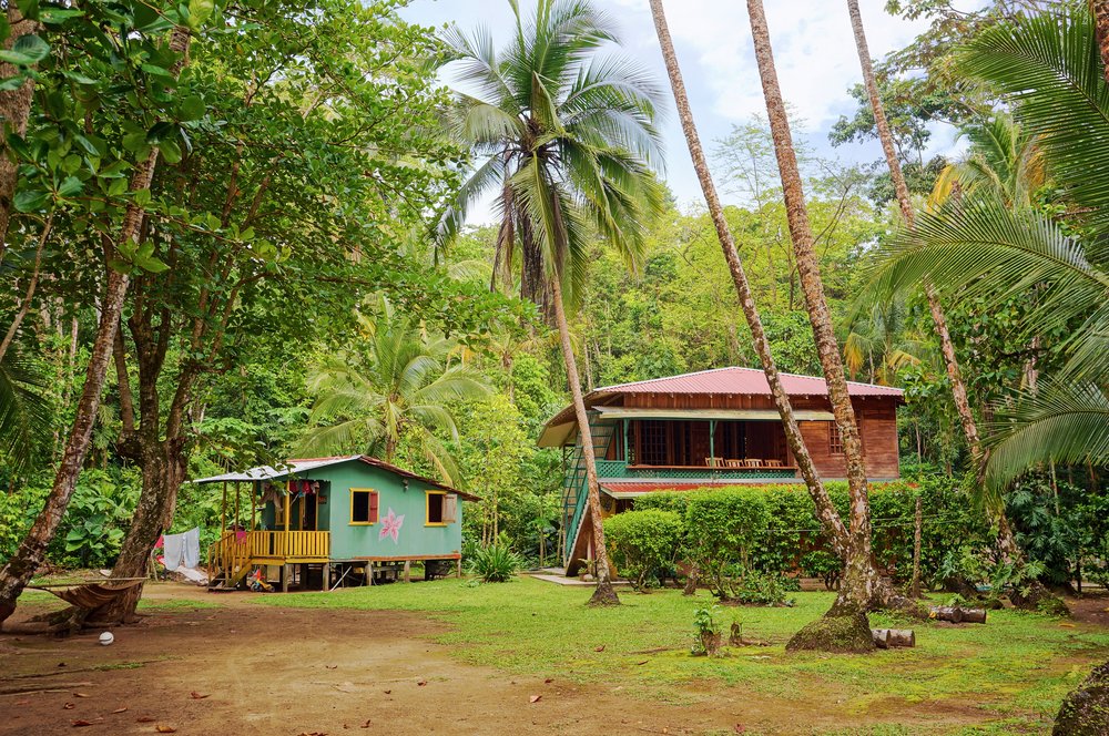 two cottages in the jungle