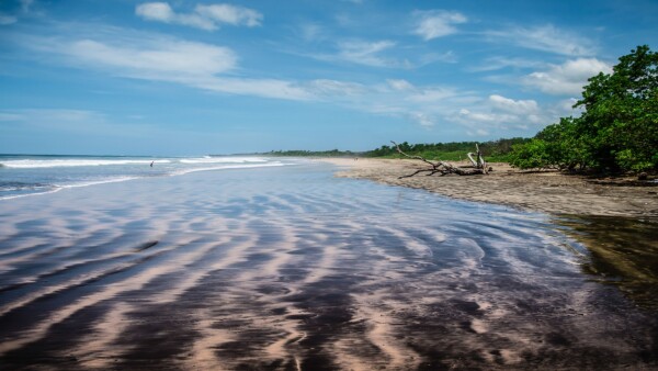 Playa Avellanas feature