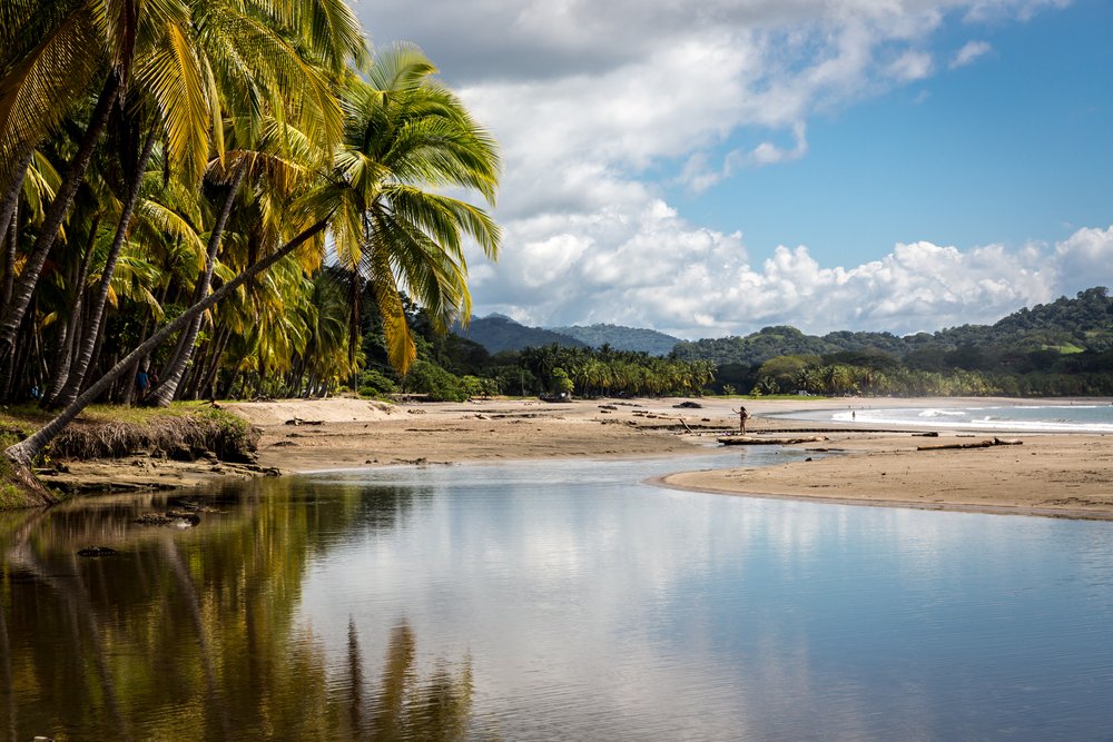 Playa Guiones trees and water in Costa Rica