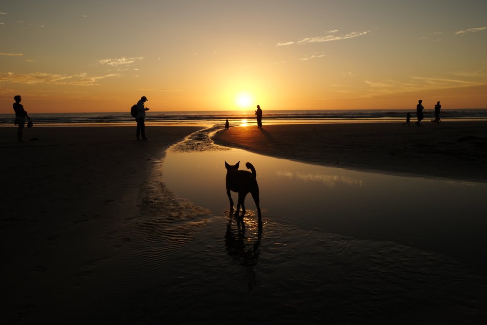 Sunset on Playa Guiones Costa Rica