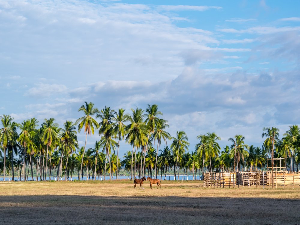 view of Samara beach in Costa Rica