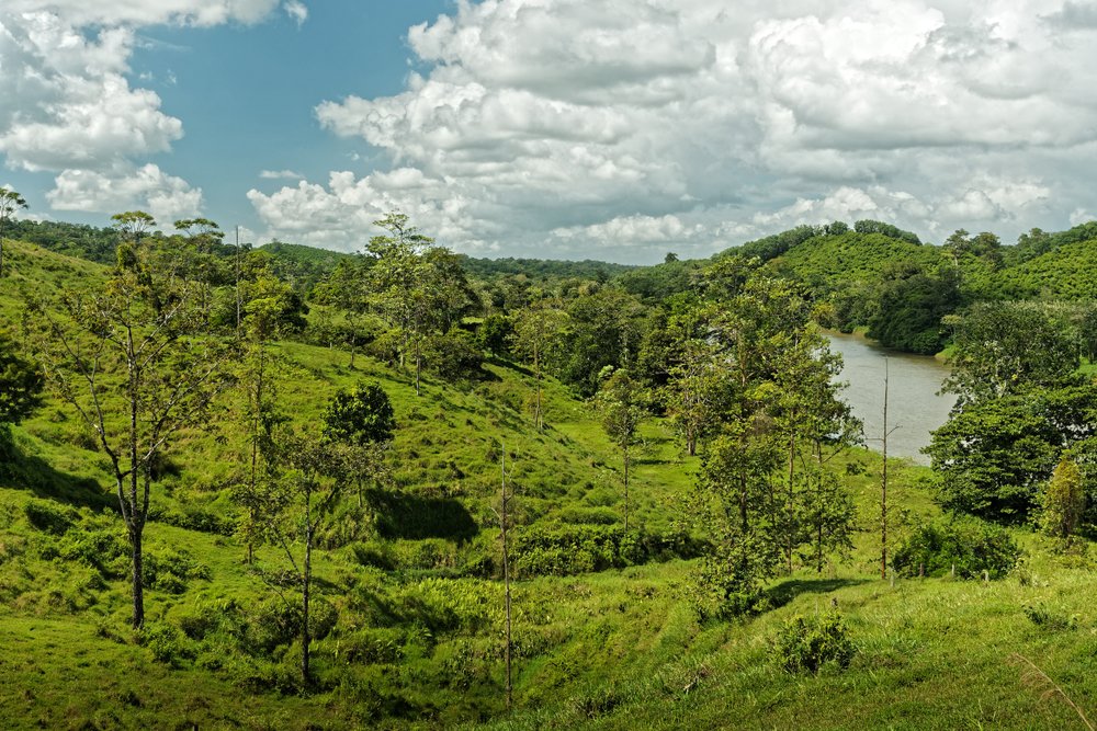 green hilly landscape Costa Rica