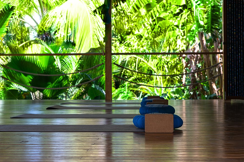 yoga mats lined up with a view of the jungle