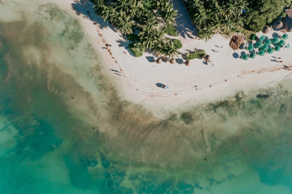 drone view of beach in Riviera Maya in Mexico