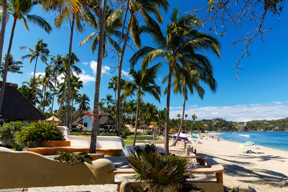 beach and palm trees in Sayulita Mexico