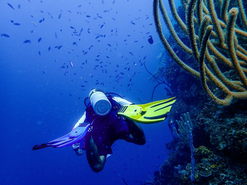 scuba diver underwater with yellow and blue fins