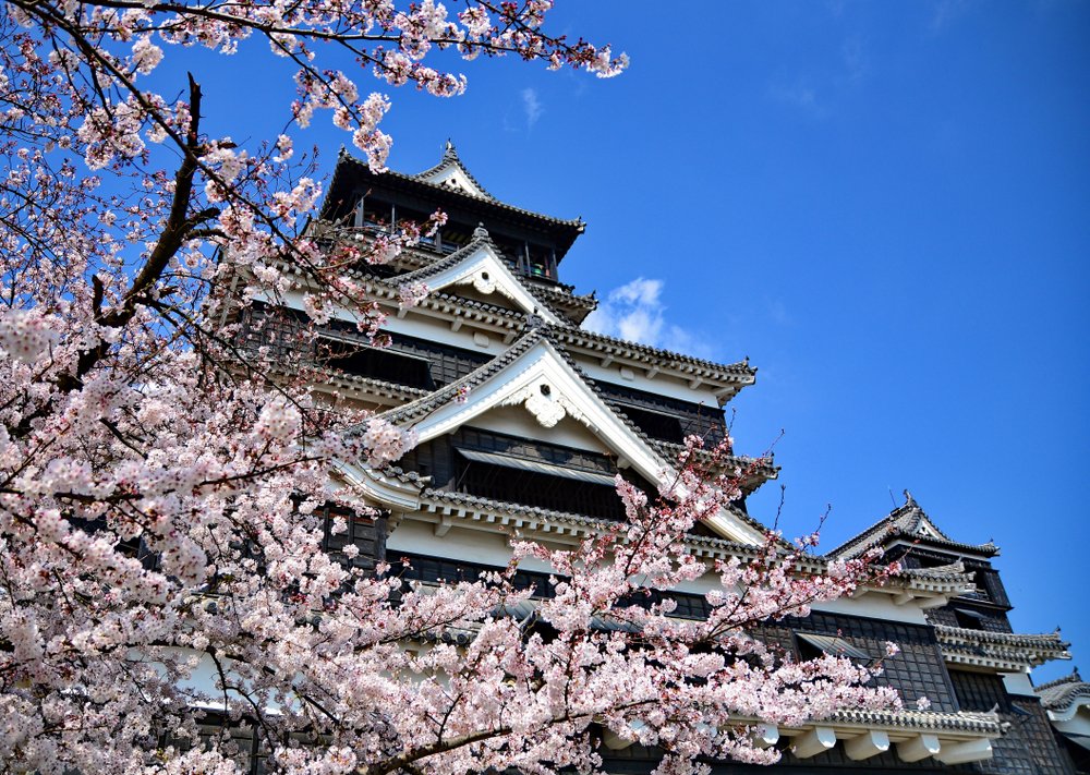 cherry blossom season in Fukuoka, Japan