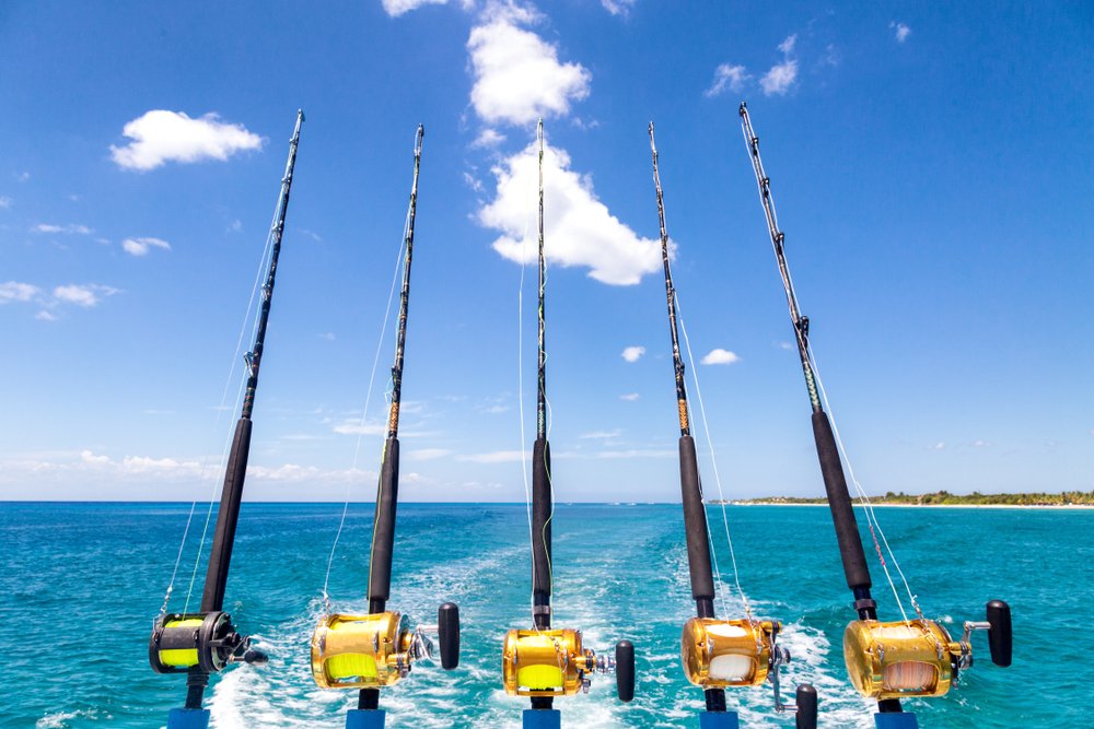 5 fishing rods in the ocean