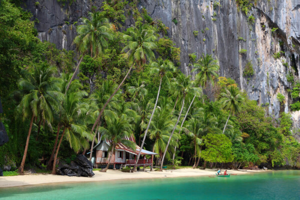 Palawan Beach Philippines with tall palms