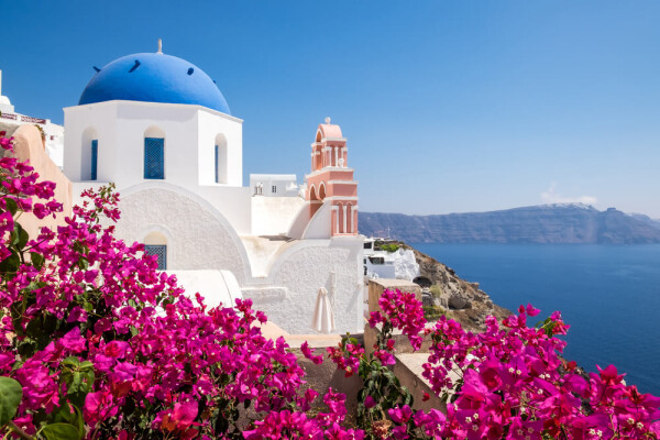 Santorini with bougainvillea in foreground