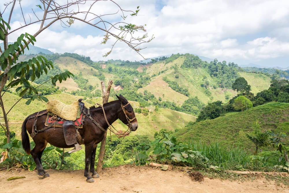 25 Cities in Colombia That Will Steal Your Heart