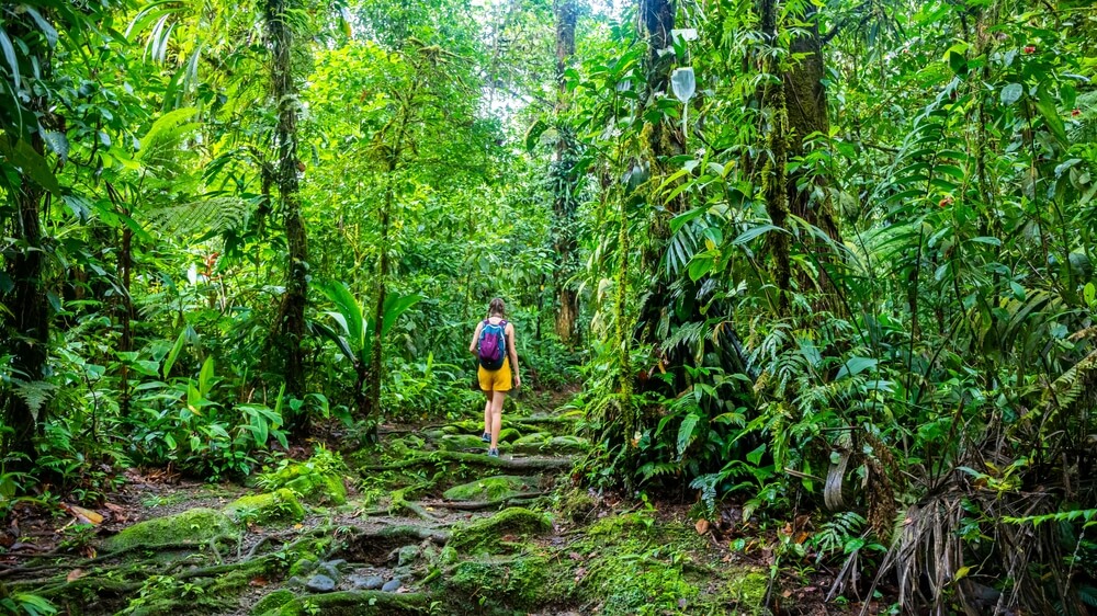 How to Visit Costa Rica’s Best National Parks (&#038; Why)