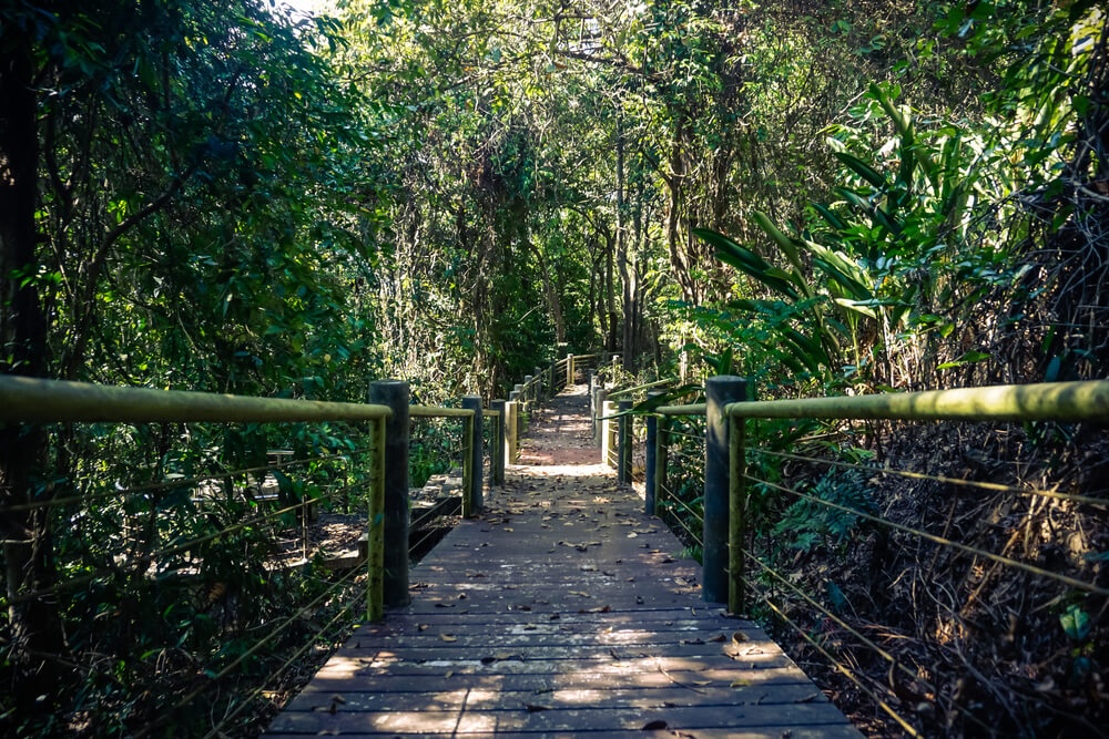 Running Trails in Phuket: Where to Get a Runner’s High