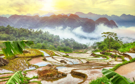 misty hills and rice terraces of National Park in Vietnam